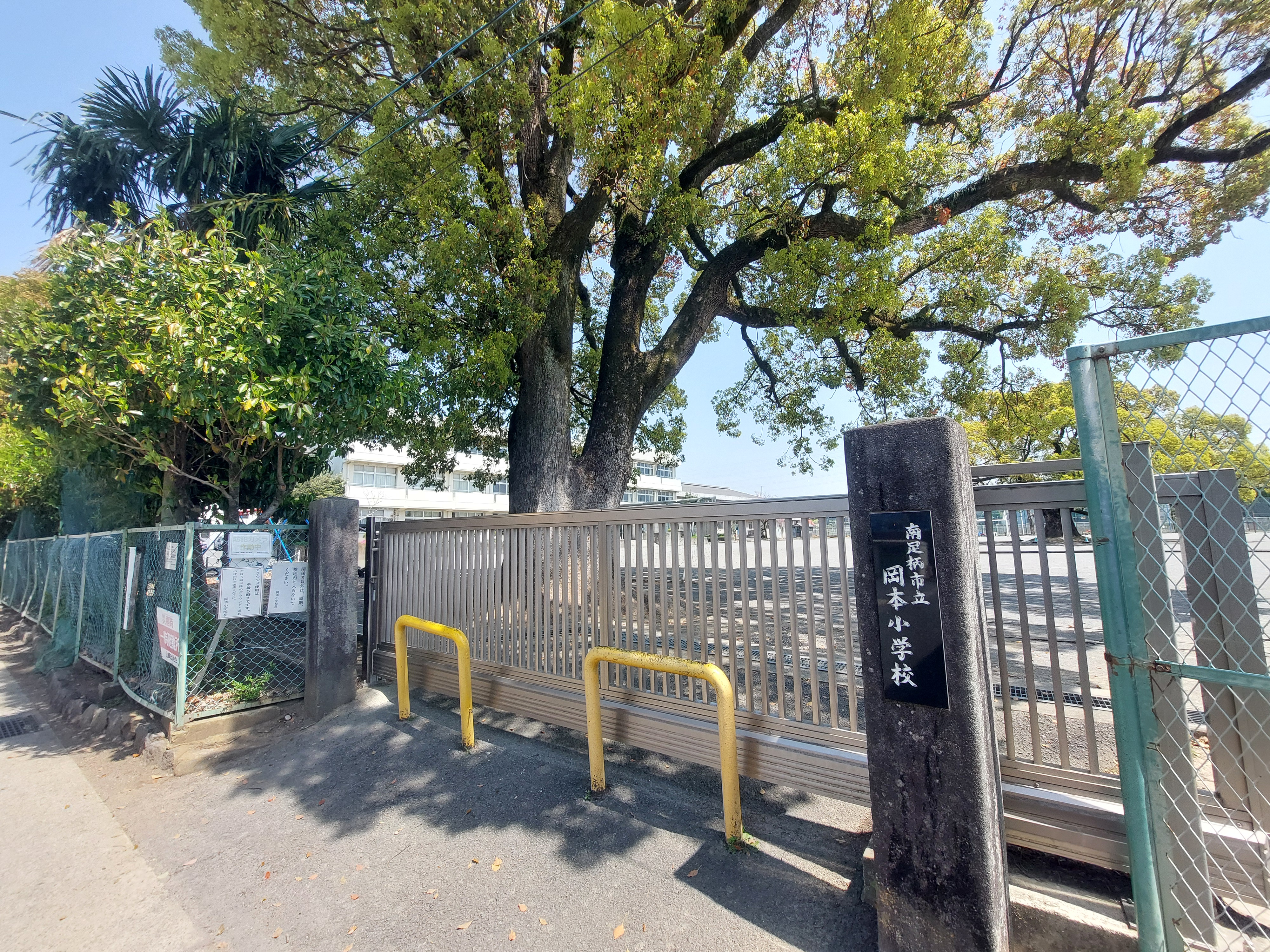 写真の説明を入れます